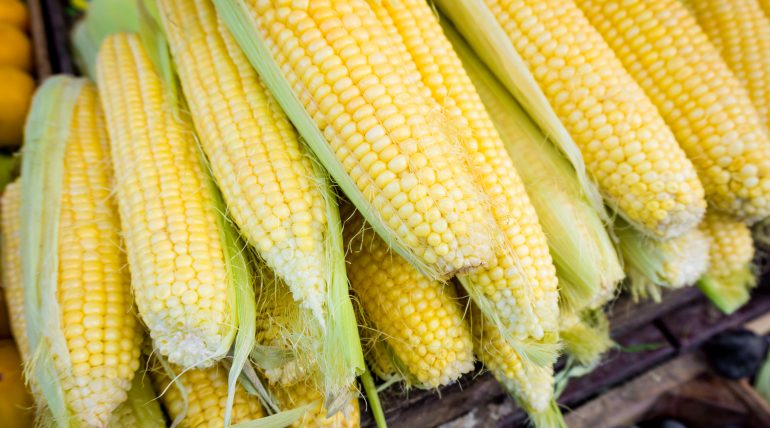 10 Reasons to Sell at Farmers’ Markets