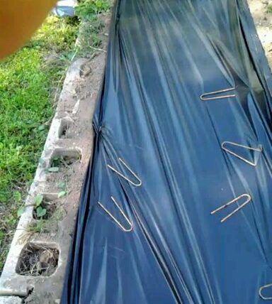 Applying and Using Plastic Mulch Film for Gardens and Raised Beds